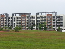 Woodhaven (D25), Condominium #233284531